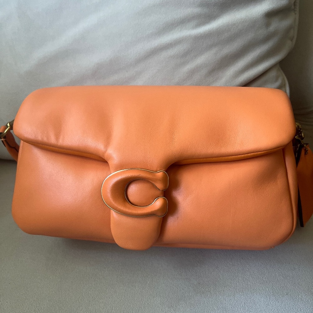 Coach pillow tabby 26